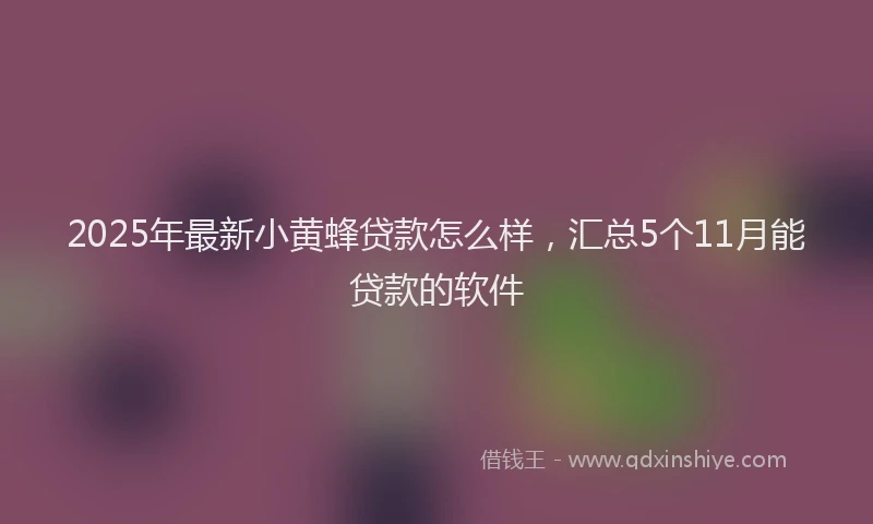 2025年最新小黄蜂贷款怎么样，汇总5个11月能贷款的软件
