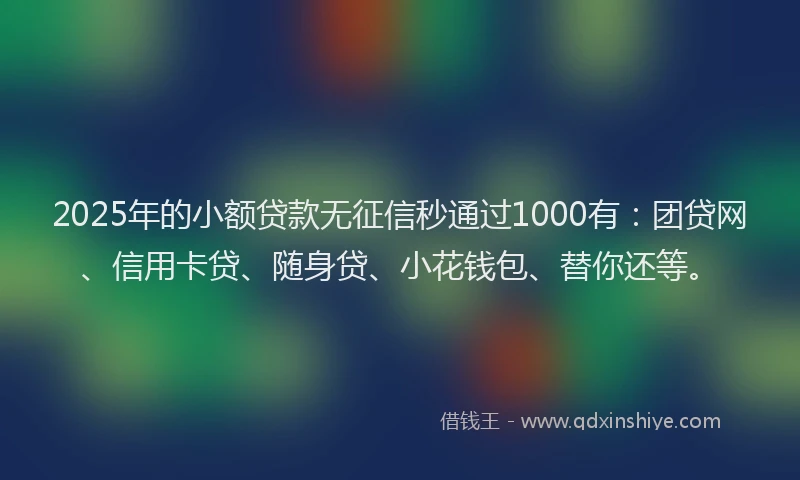 2025年的小额贷款无征信秒通过1000有：团贷网、信用卡贷、随身贷、小花钱包、替你还等。