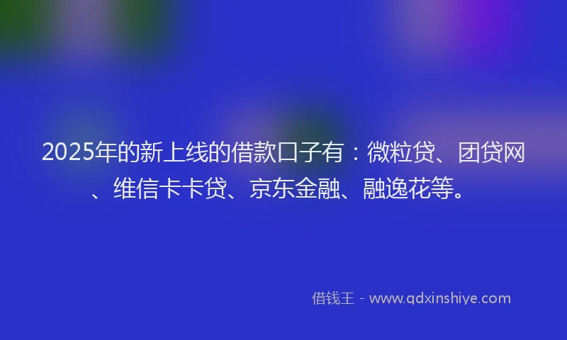 2025年的新上线的借款口子有：微粒贷、团贷网、维信卡卡贷、京东金融、融逸花等。