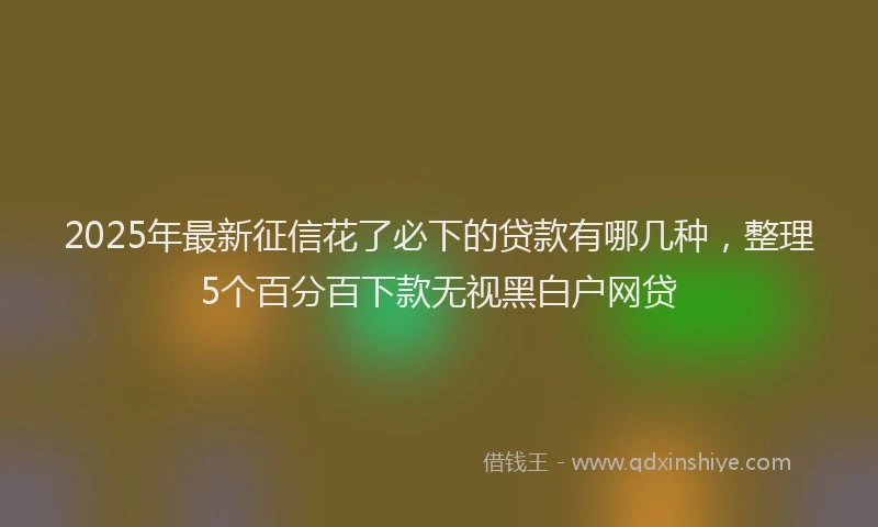 2025年最新征信花了必下的贷款有哪几种，整理5个百分百下款无视黑白户网贷