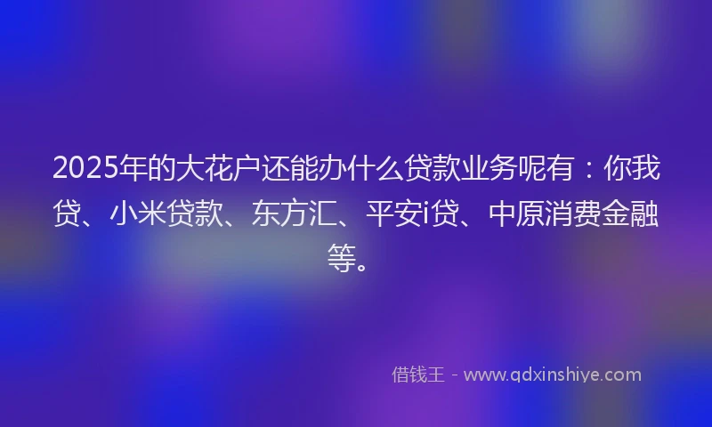 2025年的大花户还能办什么贷款业务呢有：你我贷、小米贷款、东方汇、平安i贷、中原消费金融等。