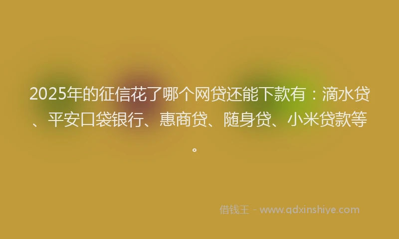 2025年的征信花了哪个网贷还能下款有：滴水贷、平安口袋银行、惠商贷、随身贷、小米贷款等。