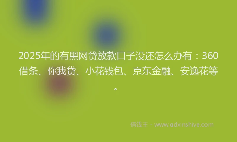 2025年的有黑网贷放款口子没还怎么办有：360借条、你我贷、小花钱包、京东金融、安逸花等。