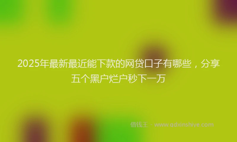 2025年最新最近能下款的网贷口子有哪些，分享五个黑户烂户秒下一万