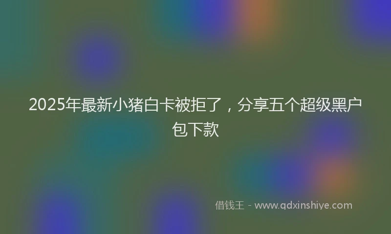 2025年最新小猪白卡被拒了，分享五个超级黑户包下款