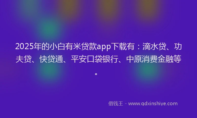 2025年的小白有米贷款app下载有：滴水贷、功夫贷、快贷通、平安口袋银行、中原消费金融等。