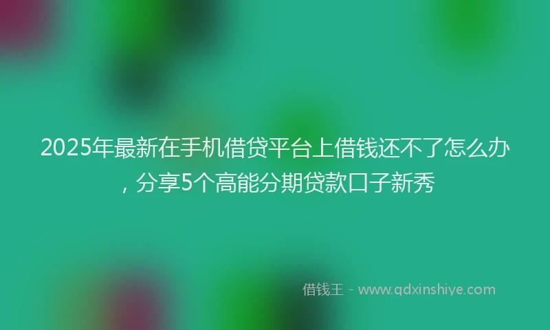 2025年最新在手机借贷平台上借钱还不了怎么办，分享5个高能分期贷款口子新秀