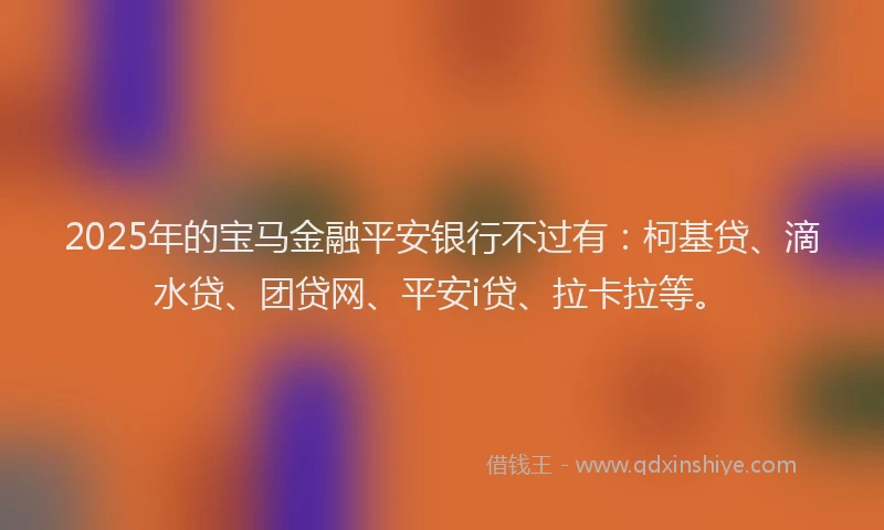 2025年的宝马金融平安银行不过有：柯基贷、滴水贷、团贷网、平安i贷、拉卡拉等。