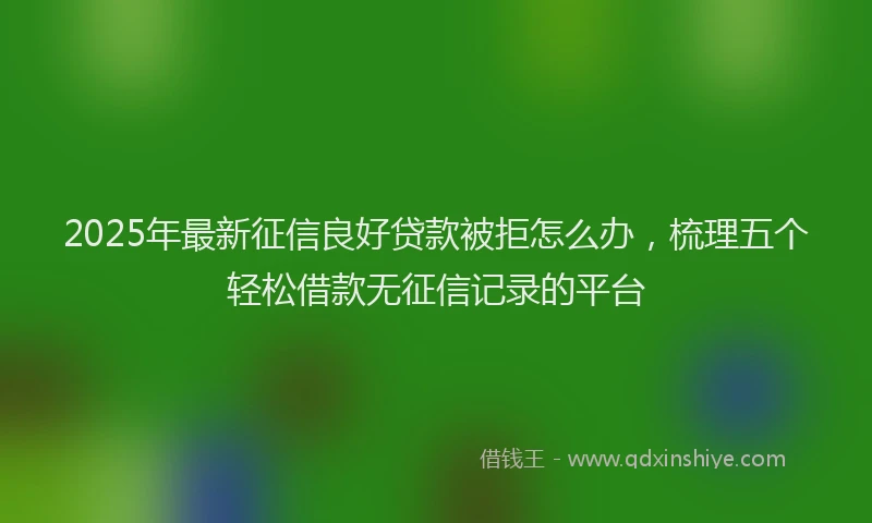 2025年最新征信良好贷款被拒怎么办，梳理五个轻松借款无征信记录的平台