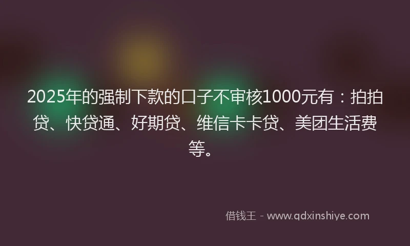 2025年的强制下款的口子不审核1000元有：拍拍贷、快贷通、好期贷、维信卡卡贷、美团生活费等。