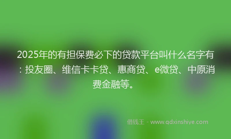 2025年的有担保费必下的贷款平台叫什么名字有：投友圈、维信卡卡贷、惠商贷、e微贷、中原消费金融等。