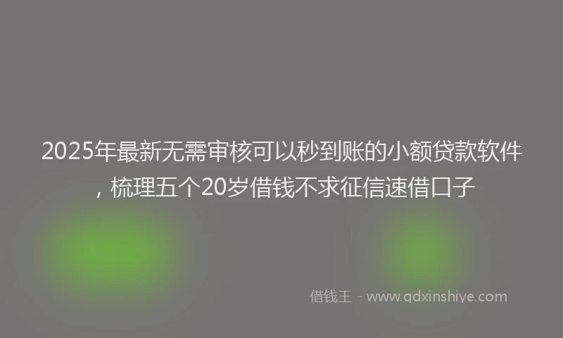 2025年最新无需审核可以秒到账的小额贷款软件，梳理五个20岁借钱不求征信速借口子