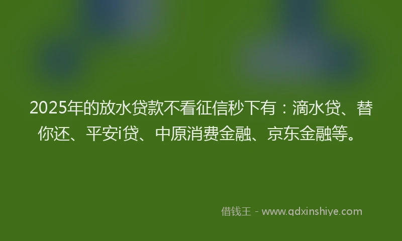 2025年的放水贷款不看征信秒下有：滴水贷、替你还、平安i贷、中原消费金融、京东金融等。
