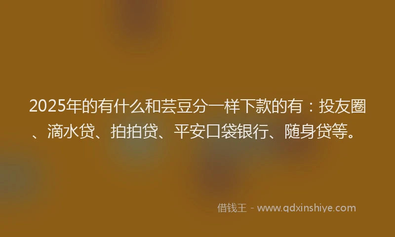 2025年的有什么和芸豆分一样下款的有：投友圈、滴水贷、拍拍贷、平安口袋银行、随身贷等。