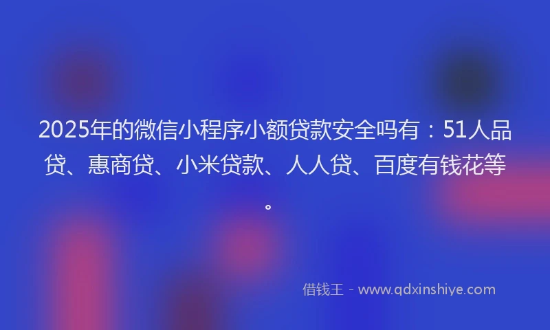 2025年的微信小程序小额贷款安全吗有：51人品贷、惠商贷、小米贷款、人人贷、百度有钱花等。