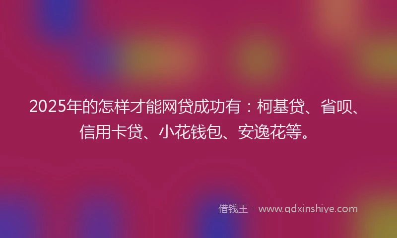 2025年的怎样才能网贷成功有：柯基贷、省呗、信用卡贷、小花钱包、安逸花等。