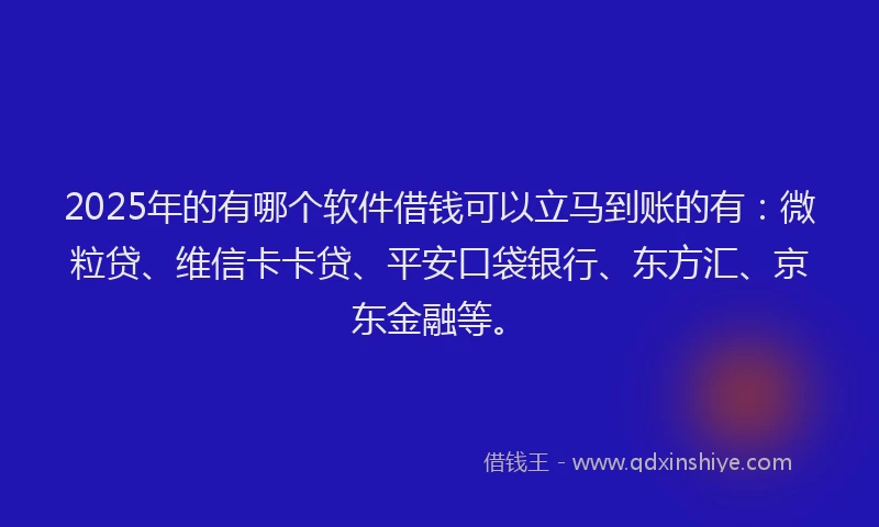 2025年的有哪个软件借钱可以立马到账的有：微粒贷、维信卡卡贷、平安口袋银行、东方汇、京东金融等。