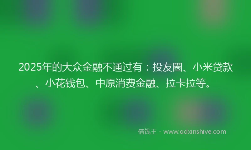2025年的大众金融不通过有：投友圈、小米贷款、小花钱包、中原消费金融、拉卡拉等。