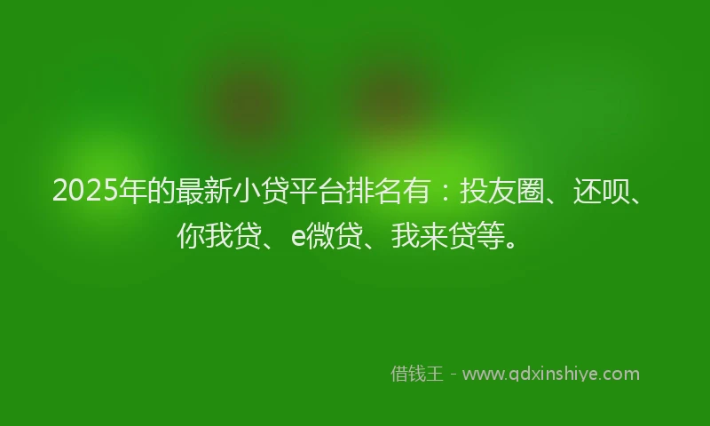 2025年的最新小贷平台排名有：投友圈、还呗、你我贷、e微贷、我来贷等。