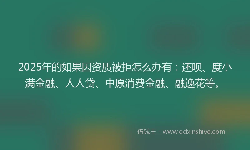 2025年的如果因资质被拒怎么办有：还呗、度小满金融、人人贷、中原消费金融、融逸花等。