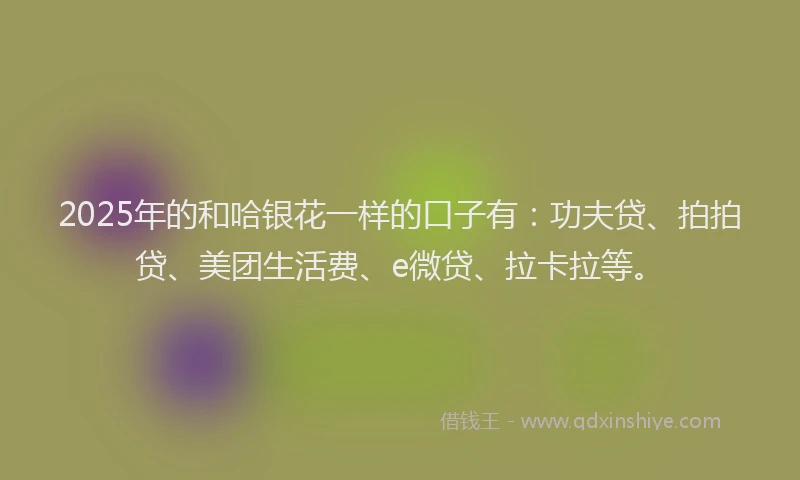 2025年的和哈银花一样的口子有：功夫贷、拍拍贷、美团生活费、e微贷、拉卡拉等。