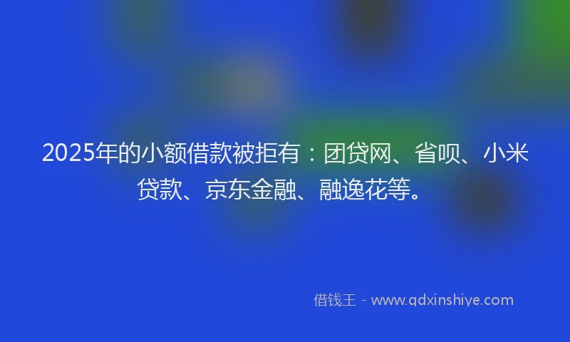 2025年的小额借款被拒有：团贷网、省呗、小米贷款、京东金融、融逸花等。