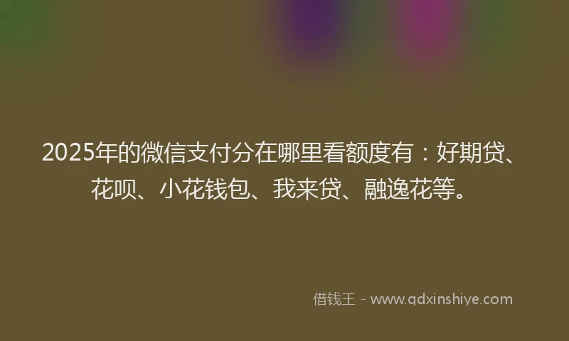 2025年的微信支付分在哪里看额度有:好期贷、花呗、小花钱包、我来贷、融逸花等。