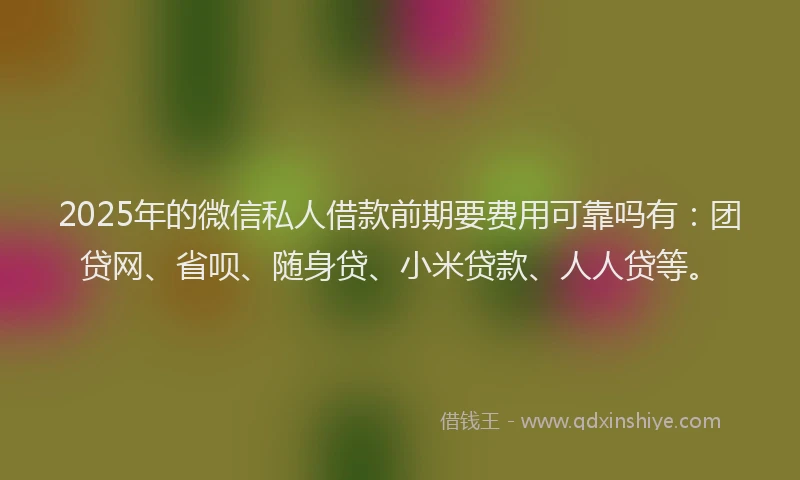 2025年的微信私人借款前期要费用可靠吗有：团贷网、省呗、随身贷、小米贷款、人人贷等。
