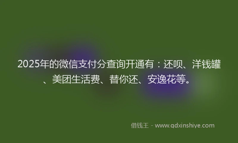 2025年的微信支付分查询开通有：还呗、洋钱罐、美团生活费、替你还、安逸花等。