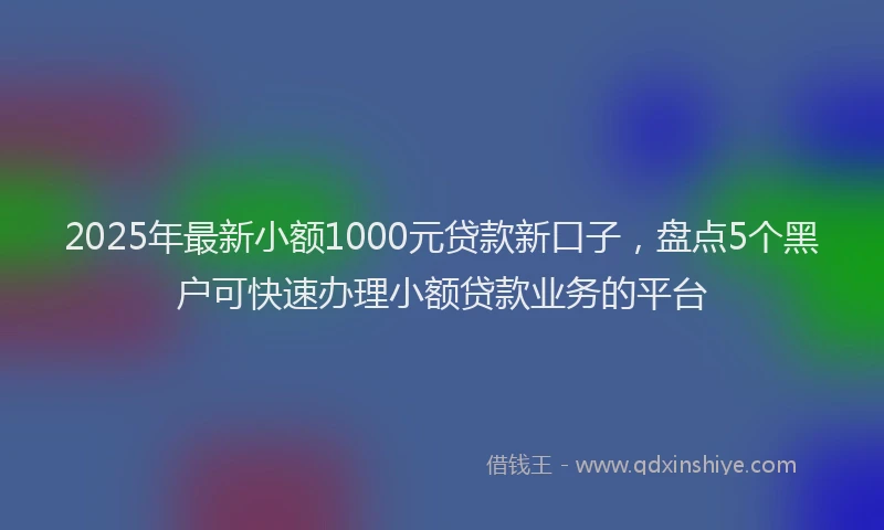 2025年最新小额1000元贷款新口子，盘点5个黑户可快速办理小额贷款业务的平台