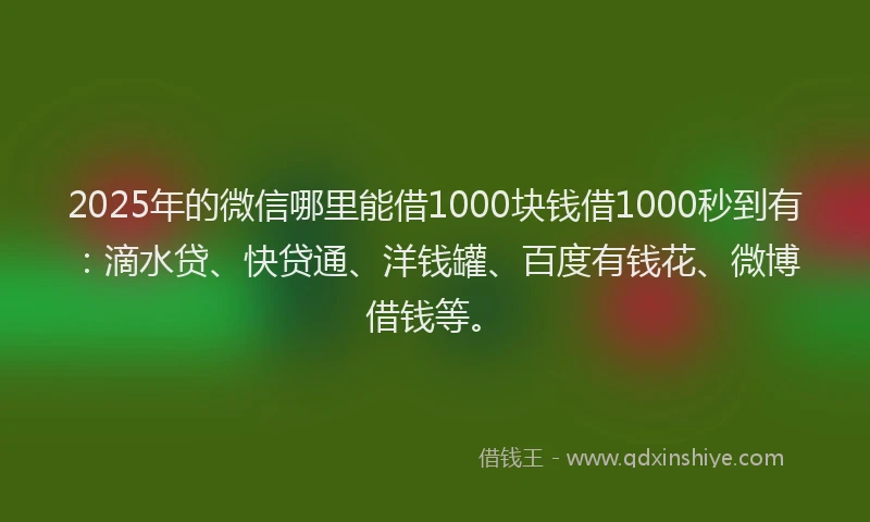 2025年的微信哪里能借1000块钱借1000秒到有：滴水贷、快贷通、洋钱罐、百度有钱花、微博借钱等。