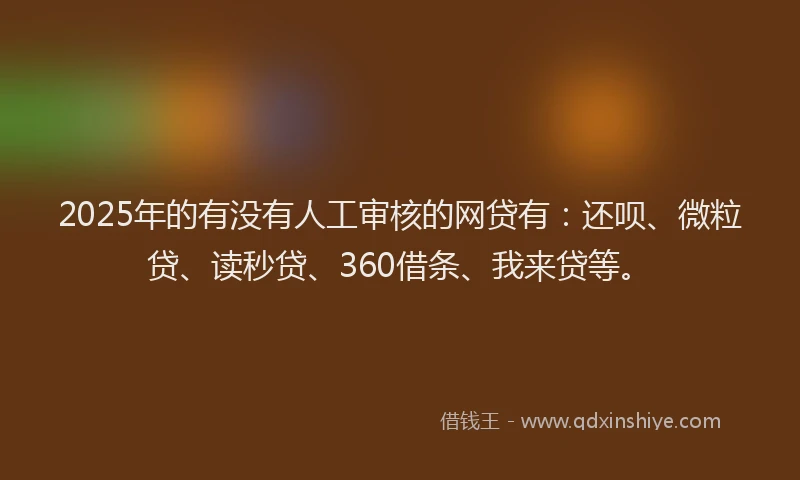 2025年的有没有人工审核的网贷有：还呗、微粒贷、读秒贷、360借条、我来贷等。