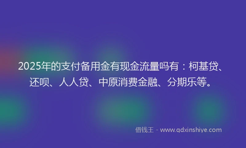 2025年的支付备用金有现金流量吗有：柯基贷、还呗、人人贷、中原消费金融、分期乐等。