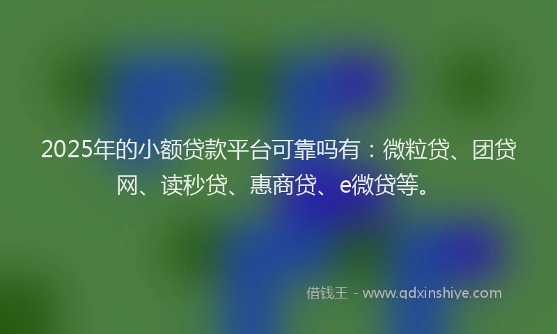 2025年的小额贷款平台可靠吗有：微粒贷、团贷网、读秒贷、惠商贷、e微贷等。