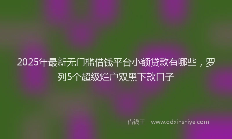 2025年最新无门槛借钱平台小额贷款有哪些，罗列5个超级烂户双黑下款口子