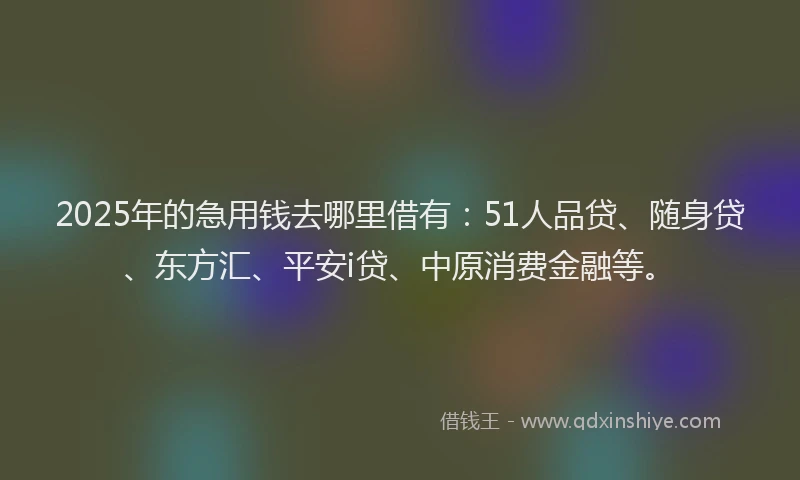 2025年的急用钱去哪里借有：51人品贷、随身贷、东方汇、平安i贷、中原消费金融等。