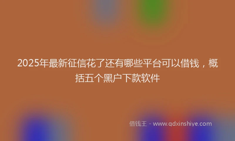 2025年最新征信花了还有哪些平台可以借钱，概括五个黑户下款软件