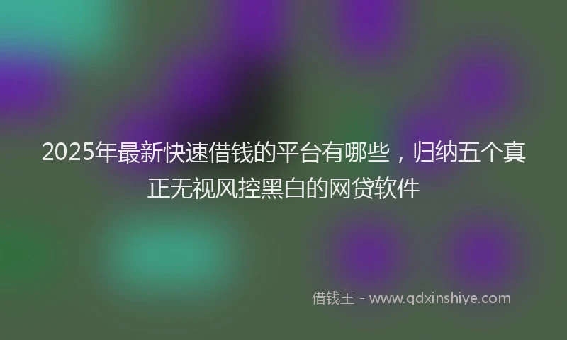 2025年最新快速借钱的平台有哪些，归纳五个真正无视风控黑白的网贷软件
