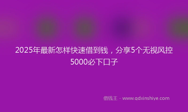 2025年最新怎样快速借到钱，分享5个无视风控5000必下口子