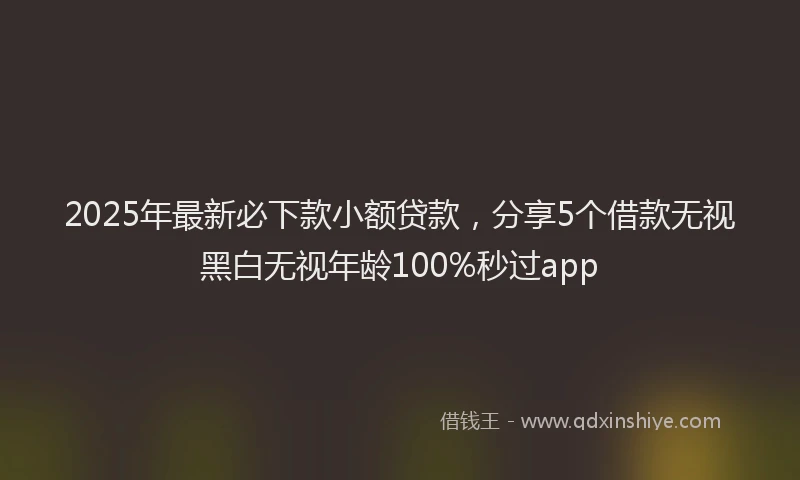 2025年最新必下款小额贷款，分享5个借款无视黑白无视年龄100%秒过app