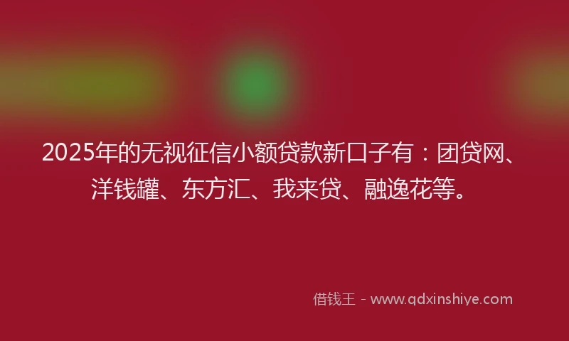 2025年的无视征信小额贷款新口子有：团贷网、洋钱罐、东方汇、我来贷、融逸花等。