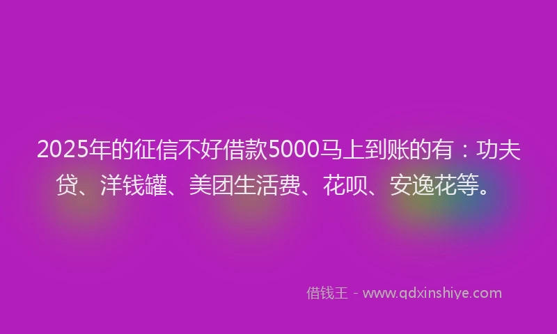 2025年的征信不好借款5000马上到账的有：功夫贷、洋钱罐、美团生活费、花呗、安逸花等。