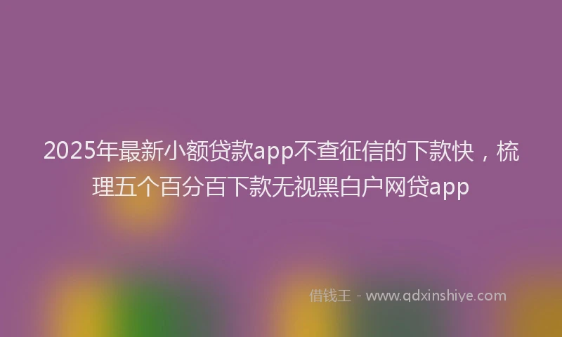 2025年最新小额贷款app不查征信的下款快，梳理五个百分百下款无视黑白户网贷app