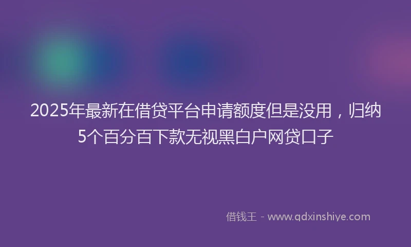 2025年最新在借贷平台申请额度但是没用，归纳5个百分百下款无视黑白户网贷口子