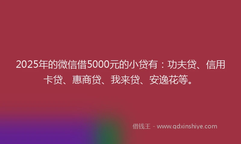 2025年的微信借5000元的小贷有：功夫贷、信用卡贷、惠商贷、我来贷、安逸花等。