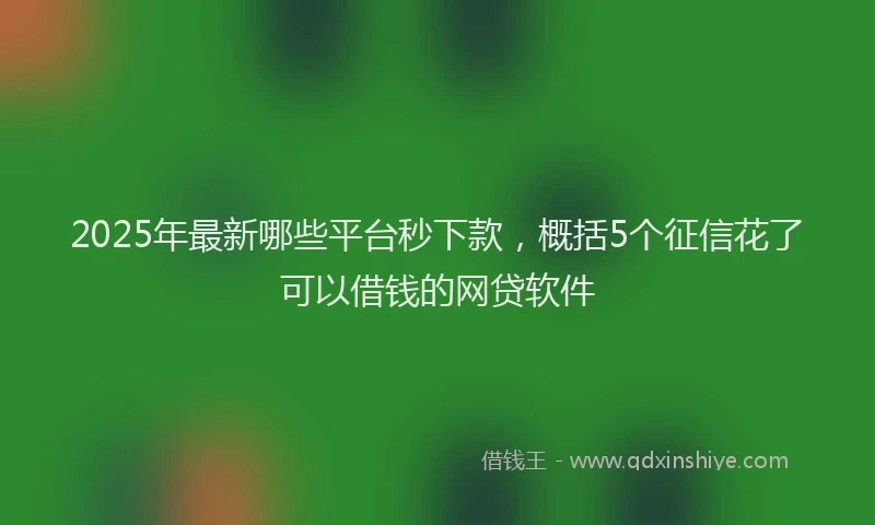 2025年最新哪些平台秒下款，概括5个征信花了可以借钱的网贷软件
