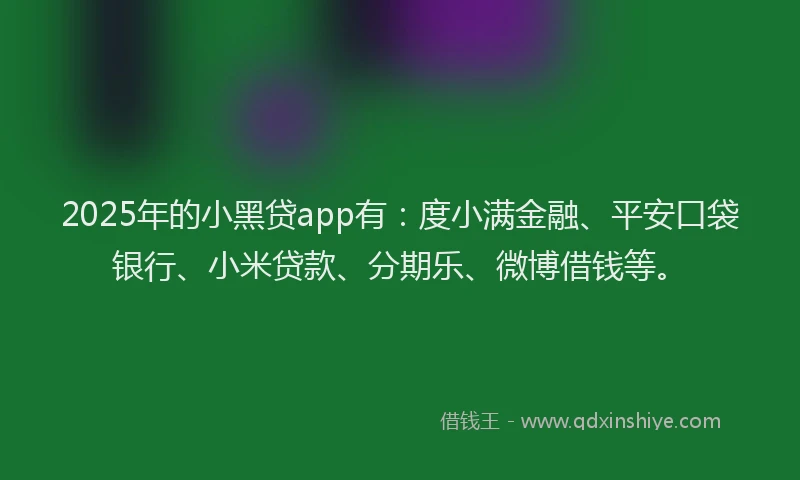 2025年的小黑贷app有：度小满金融、平安口袋银行、小米贷款、分期乐、微博借钱等。