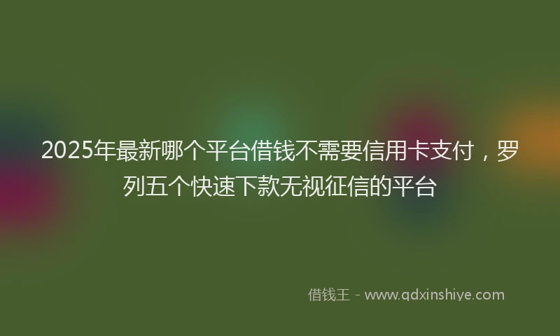2025年最新哪个平台借钱不需要信用卡支付，罗列五个快速下款无视征信的平台