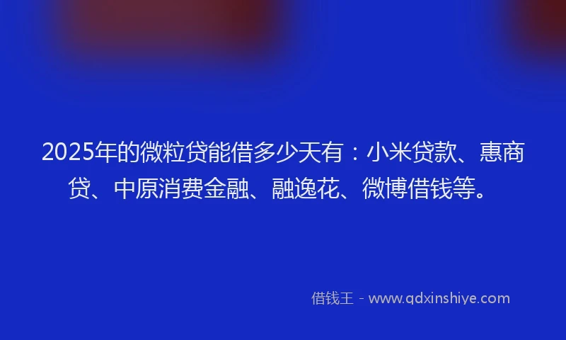 2025年的微粒贷能借多少天有：小米贷款、惠商贷、中原消费金融、融逸花、微博借钱等。