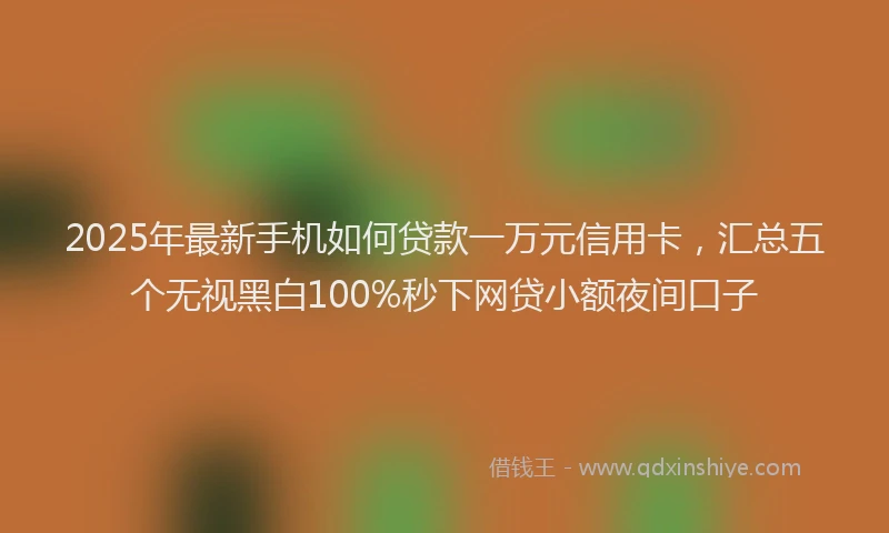 2025年最新手机如何贷款一万元信用卡，汇总五个无视黑白100%秒下网贷小额夜间口子